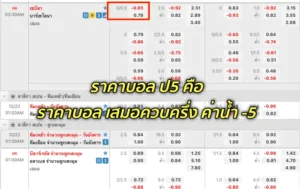 สอนเทคนิคแทงบอล ป5 เข้าใจง่าย มือใหม่ก็ทำกำไรได้ พร้อมตัวช่วยวิเคราะห์คู่บอล fun88thaoo.com